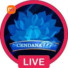 cendana777